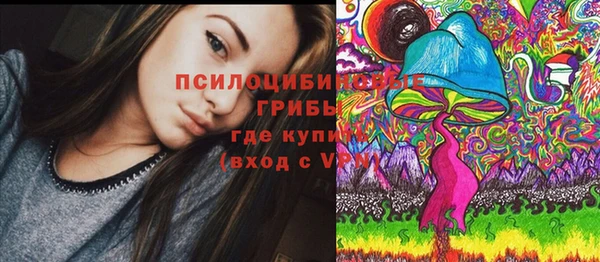 мдпв Усинск