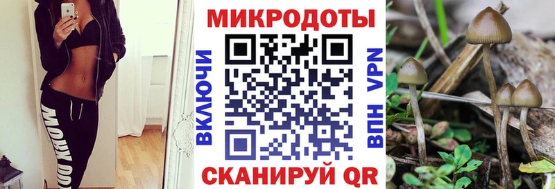 Псилоцибиновые грибы Psilocybe дарнет шоп Архангельск